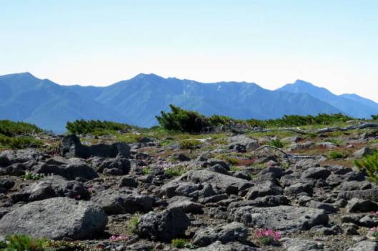 s2013-08-03 赤岳～黒岳縦走 019石狩連峰の後方にニペ