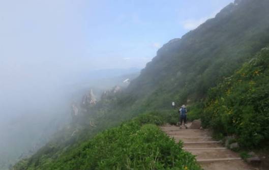 s2013-08-03 赤岳～黒岳縦走 200チシマキンバイの咲く登山道